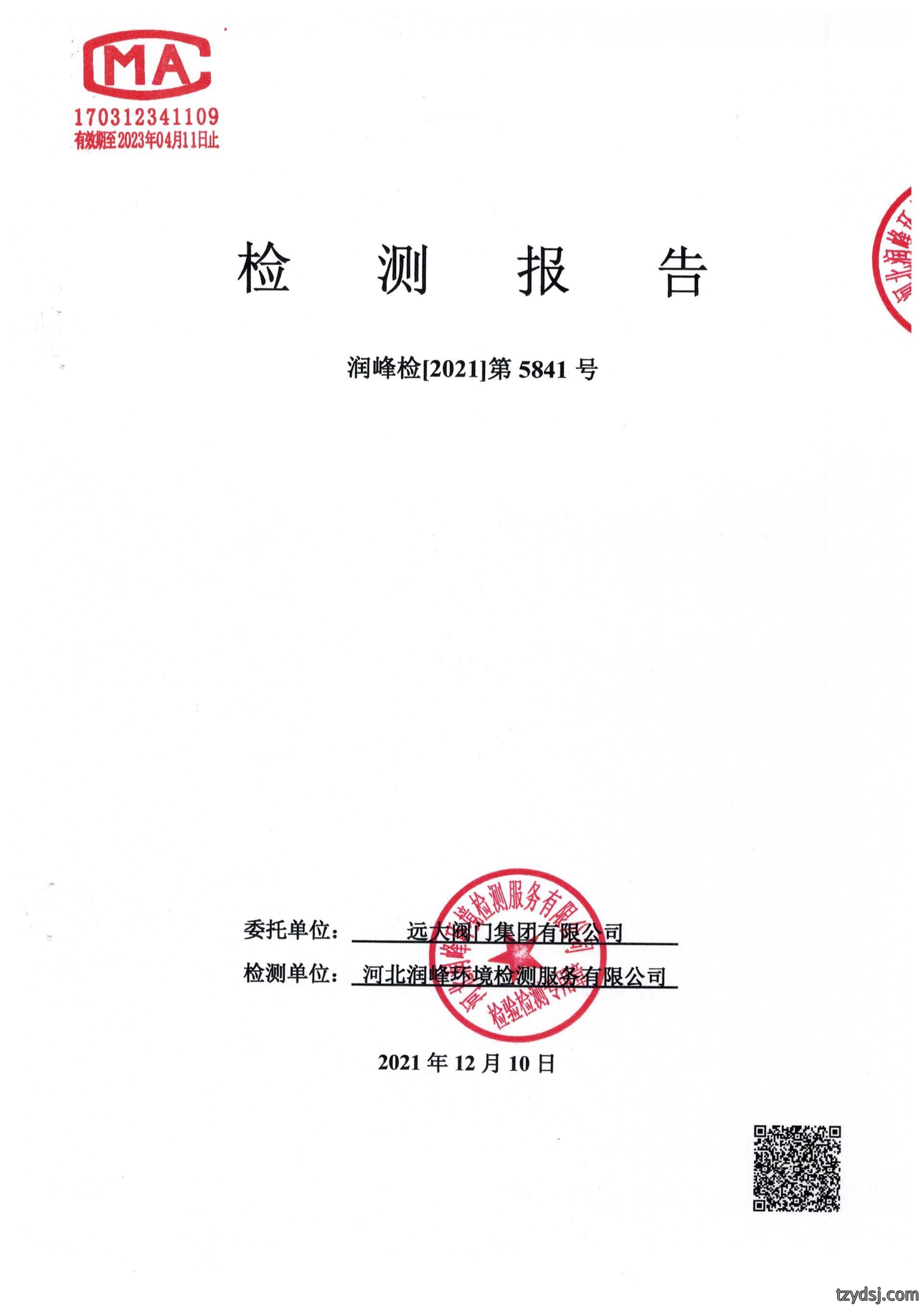 远大阀门集团2021年度下半年三乙胺检测报告