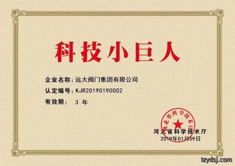 喜讯！远大阀门集团荣获“科技小巨人”称号