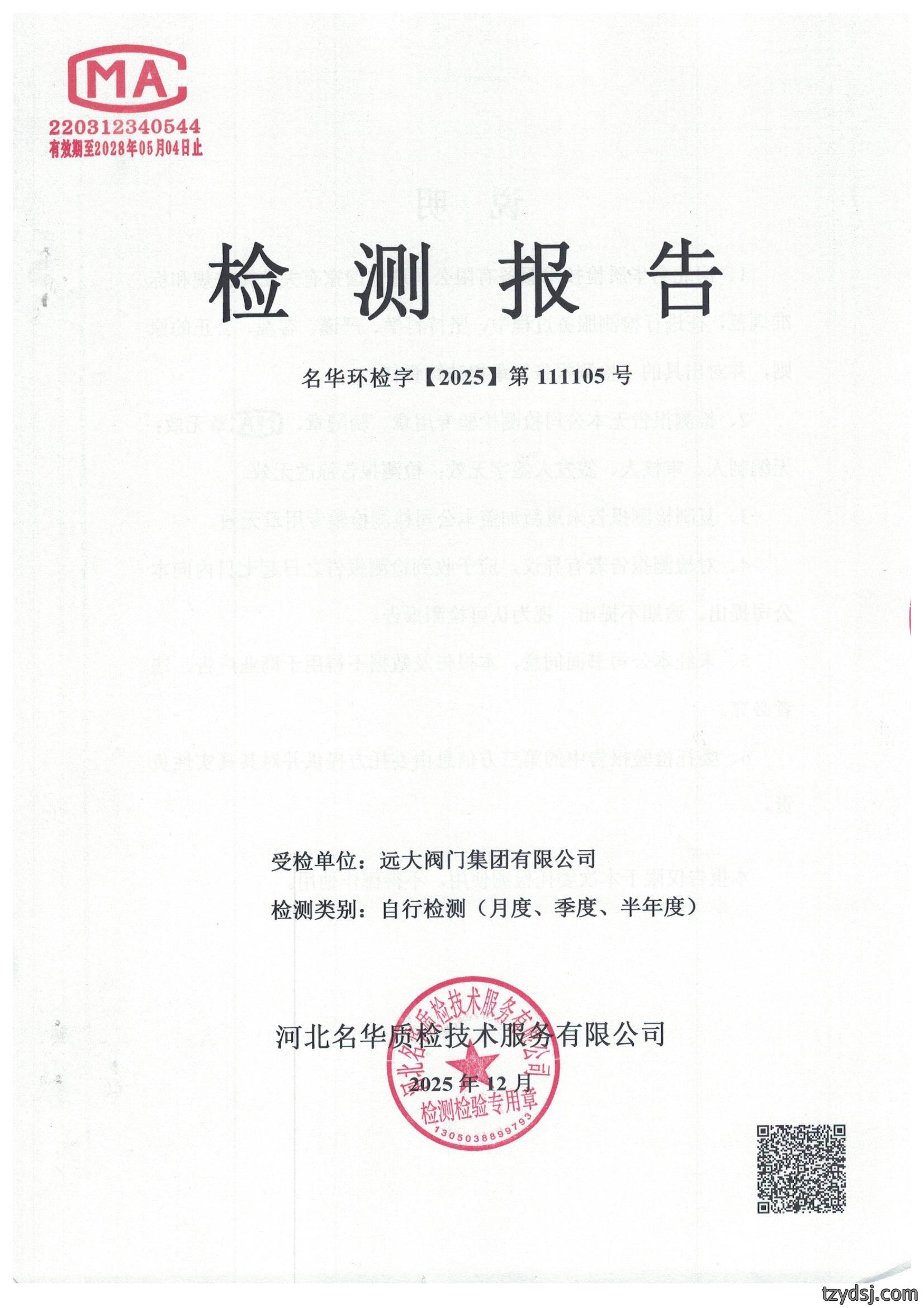 2025年11月公司锅炉检测报告公示