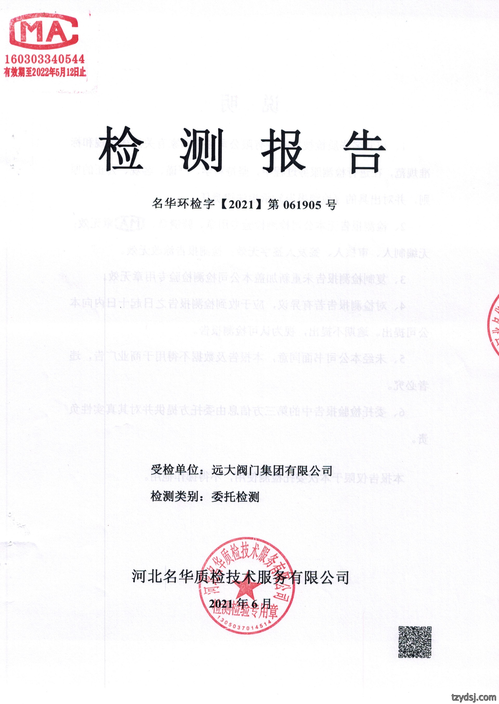 远大阀门集团6月份锅炉检测报告